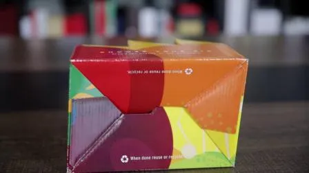 Customized Color Printing Paper Box for Pillowslip